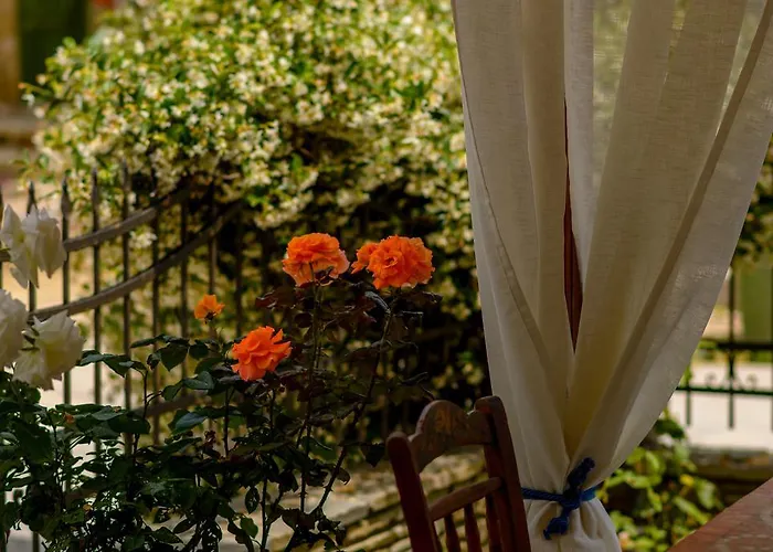 招待所 尼瑞埃蒂斯公寓旅馆