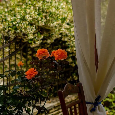 بيت ضيافة Niriides